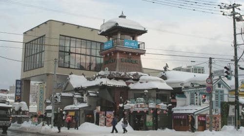 Otaru Aquarium, kolej linowa i filmowa wycieczka autokarowa z Sapporo
