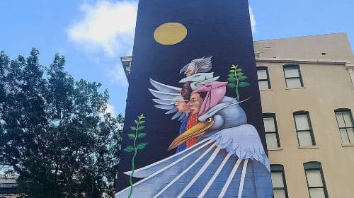 Private City Tour of Houston 3-hr Air-Conditioned Van Tour Day Tours