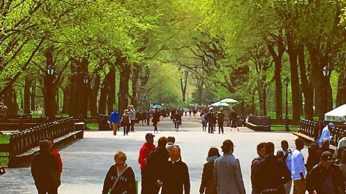 Tour guiado en bicitaxi por Central Park