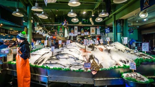 Seattle 1-Day City Tour Day Tours