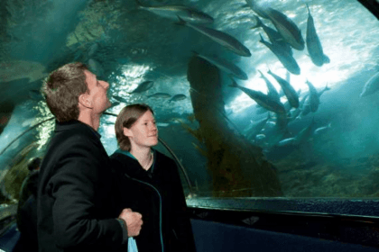 SEA LIFE Kelly Tarlton's