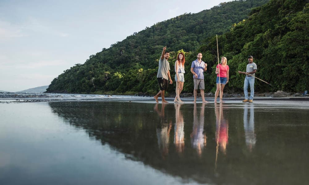 Halve dag ochtend sightseeing-ervaring in de regio Port Douglas Daintree