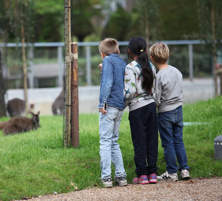 Copenhagen: Copenhagen Zoo Entry Ticket