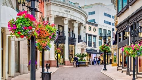 Hollywood Walk of Fame, Rodeo Drive 1-Day City Tour in Los Angeles Day Tours