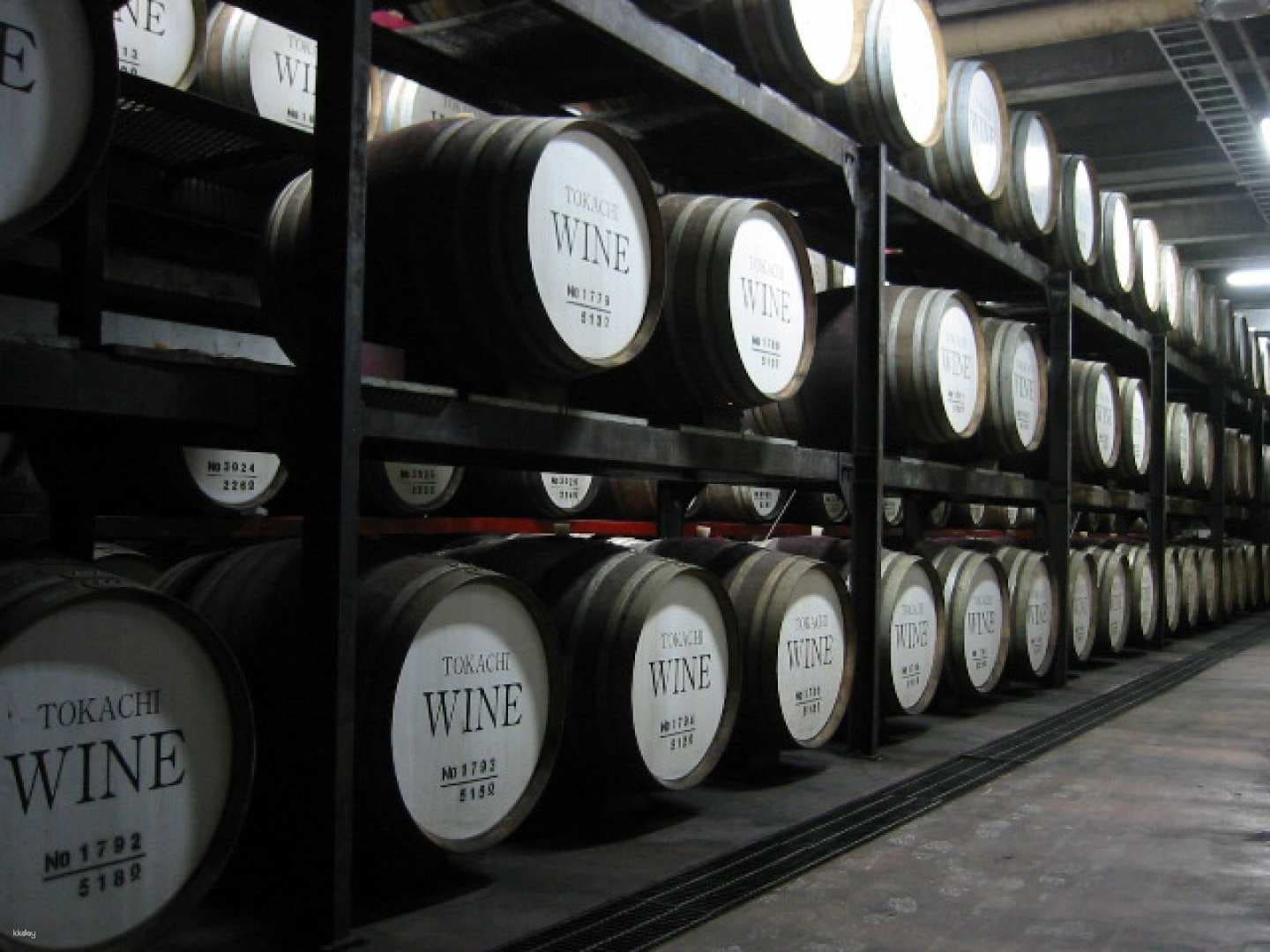 Wine Castle & DCTgarden IKEDA Tour Bus Pack|Obihiro Departure|Tokachi, Hokkaido