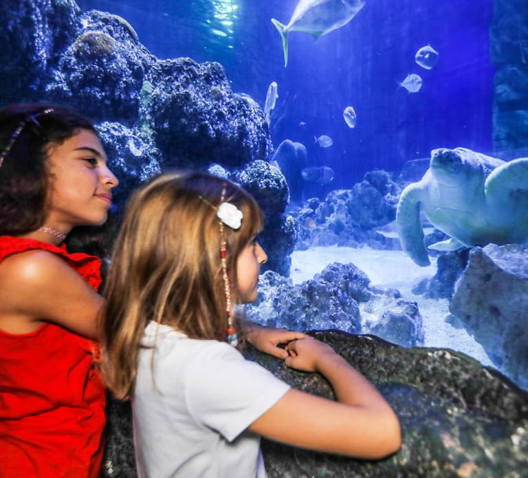 Ticket to SEA LIFE Konstanz