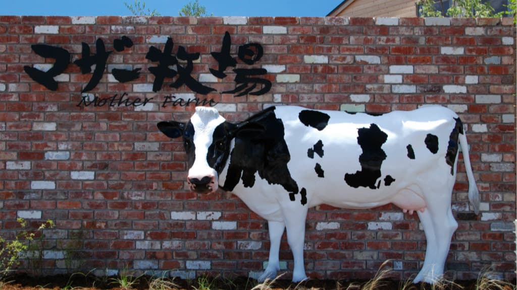 Mother Farm