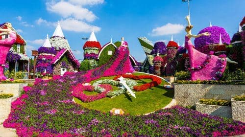 Dubai Miracle Garden tour with Transfers Day Tours