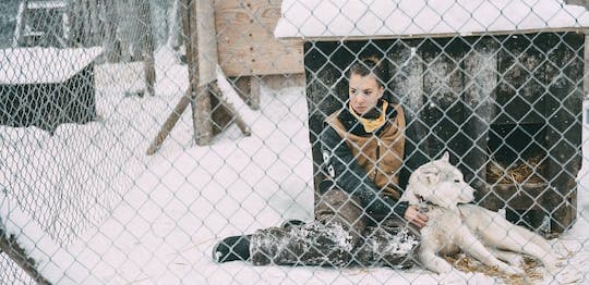 Husky Dog Park Visit