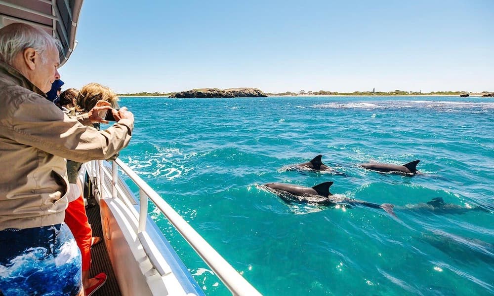 Shoalwater Islands Snorkelling Cruise with Lunch - Spectator