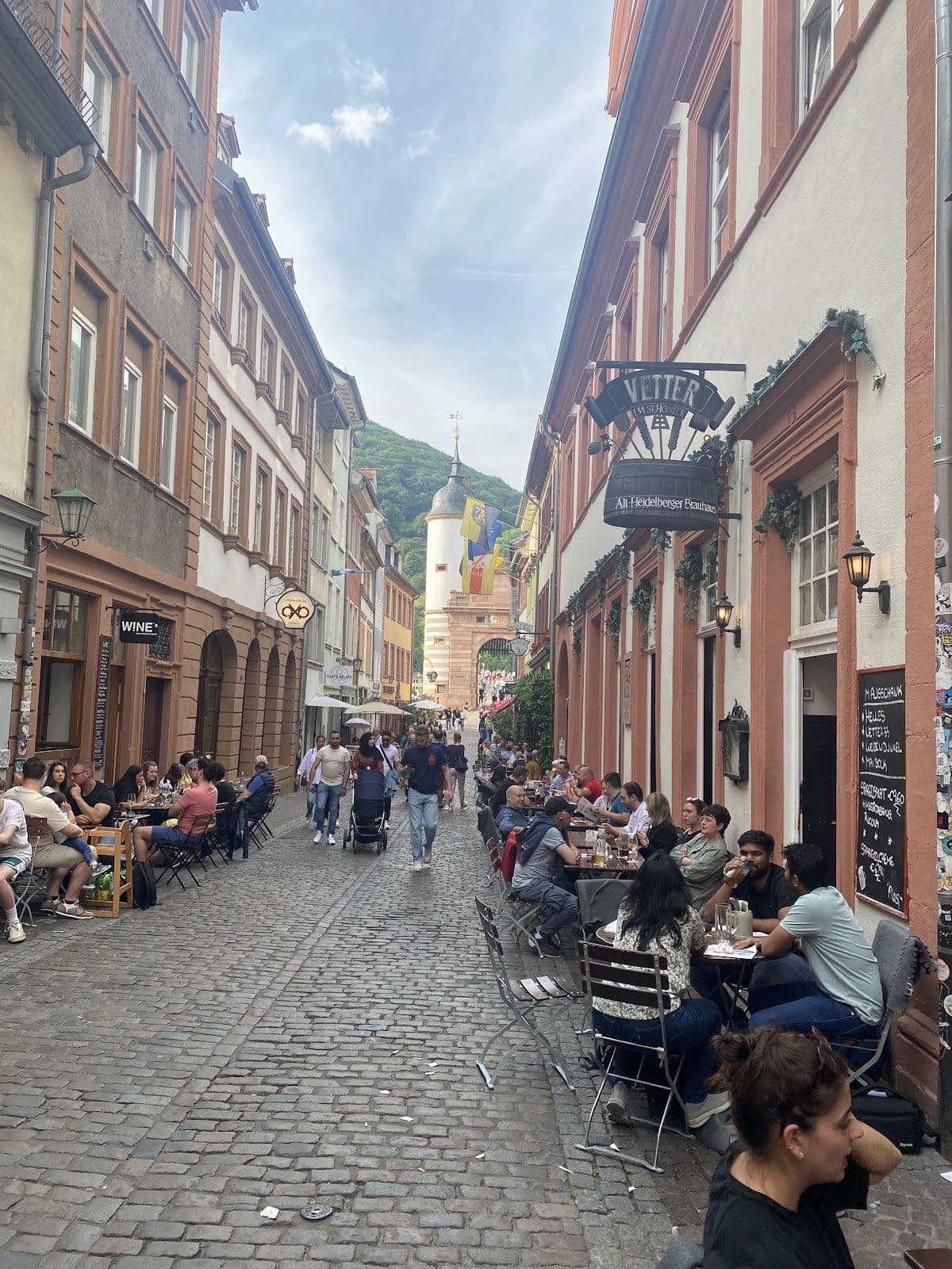Heidelberg Private Walking Tour