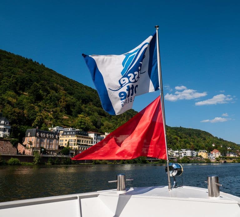 Heidelberg: Neckar River Sightseeing Boat Tour with Drink
