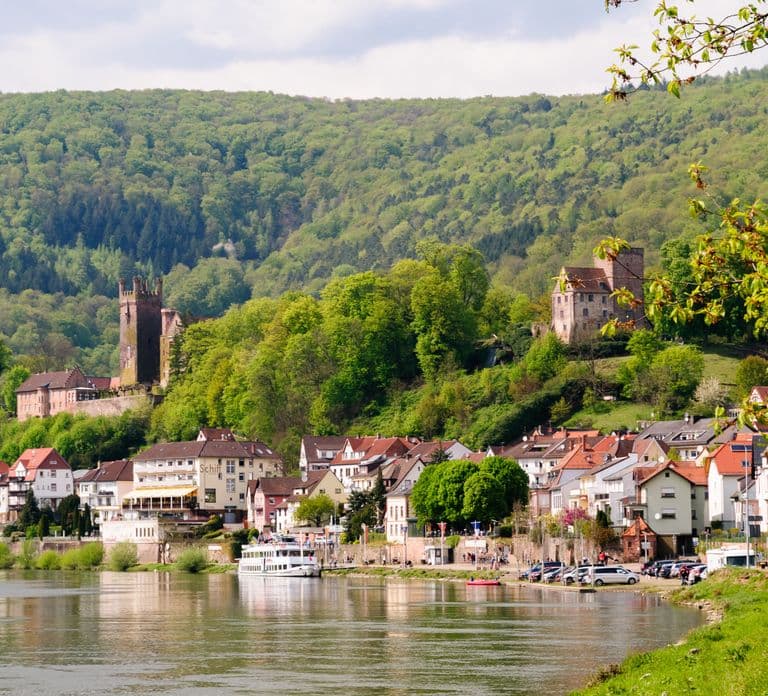 Heidelberg : croisière en bateau vers Neckarsteinach avec boissons