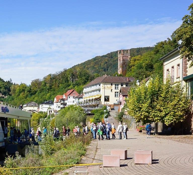 Heidelberg : croisière en bateau vers Neckarsteinach avec boissons