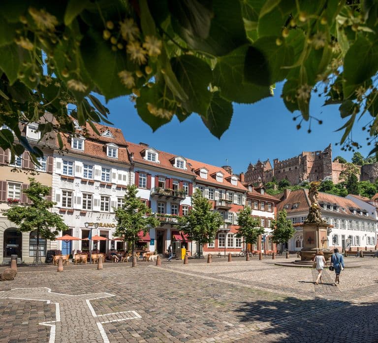 Heidelberg: Walking Tour of the Old Town
