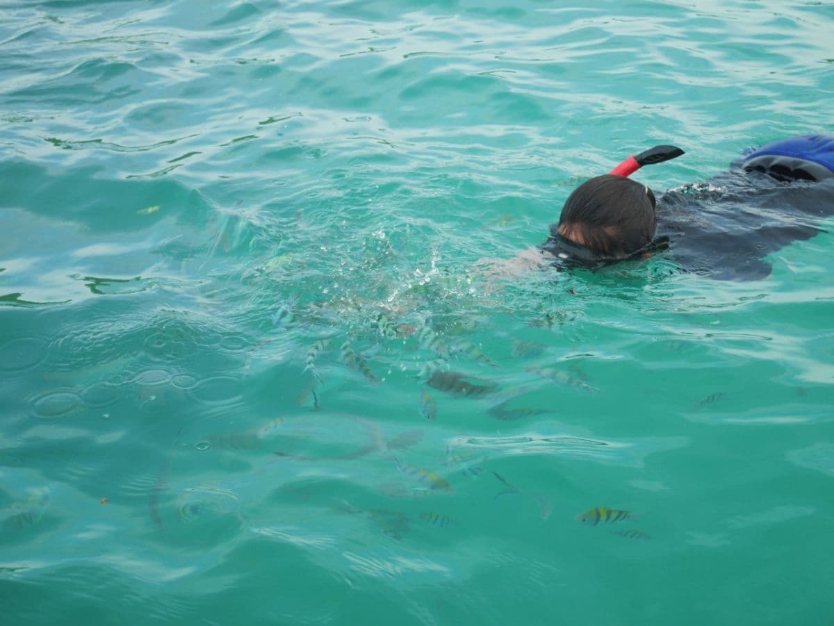 Join Tour Koh Tan & Koh Mudsum by Speedboat from Samui