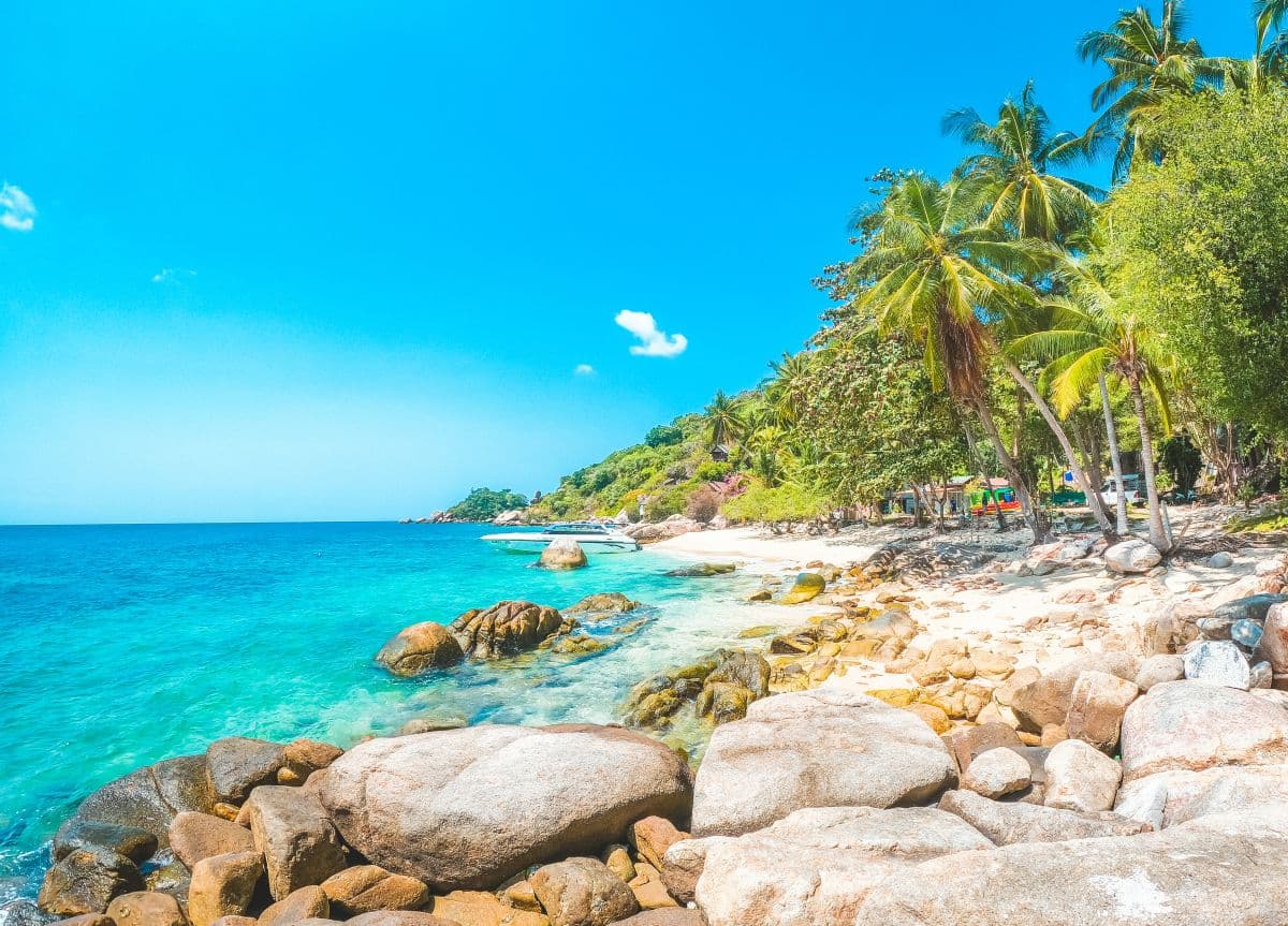 Deelnemen aan Koh Tao & Koh Nangyuan Snorkeltour per speedboot vanaf Koh Samui