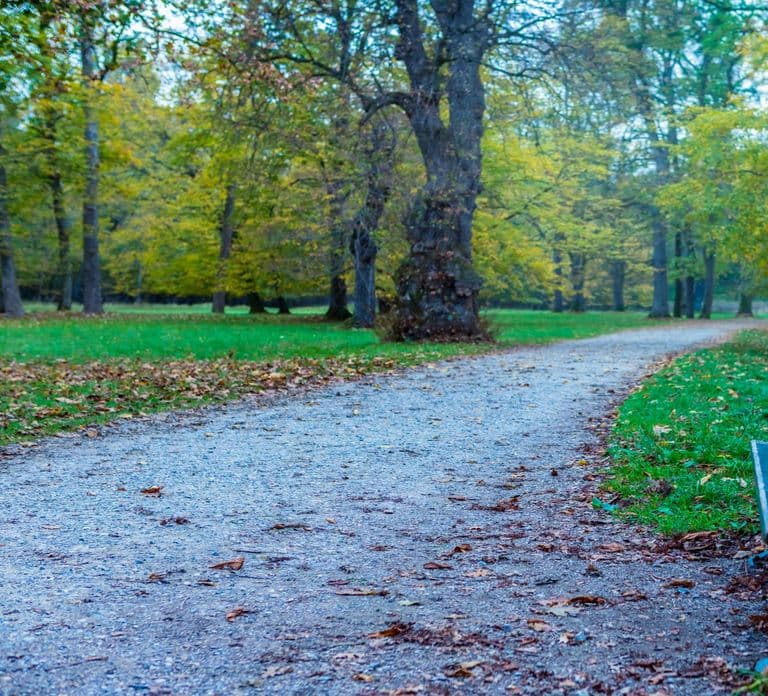 Múnich: Tour privado guiado al Palacio de Nymphenburg con acceso sin colas