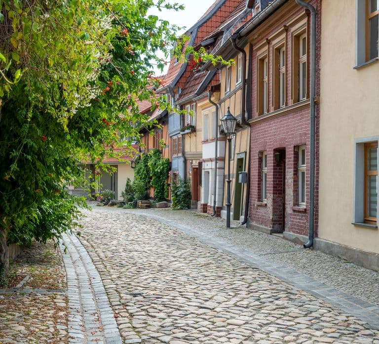 Quedlinburg: Guided City Highlights Walking Tour