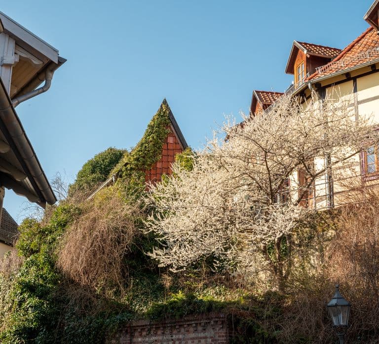 Quedlinburg: Guided City Highlights Walking Tour