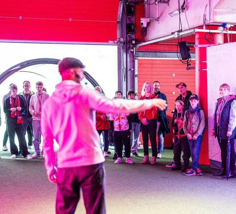 Red Bull Arena Leipzig: Stadium Access & Guided Walking Tour