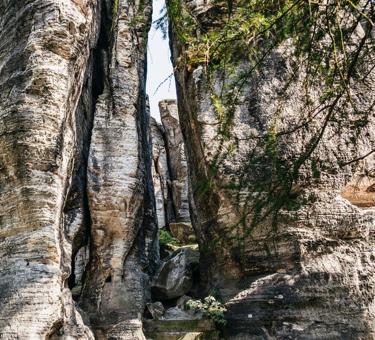 Prague発:Bohemian & Saxon Switzerland オールインクルーシブツアー