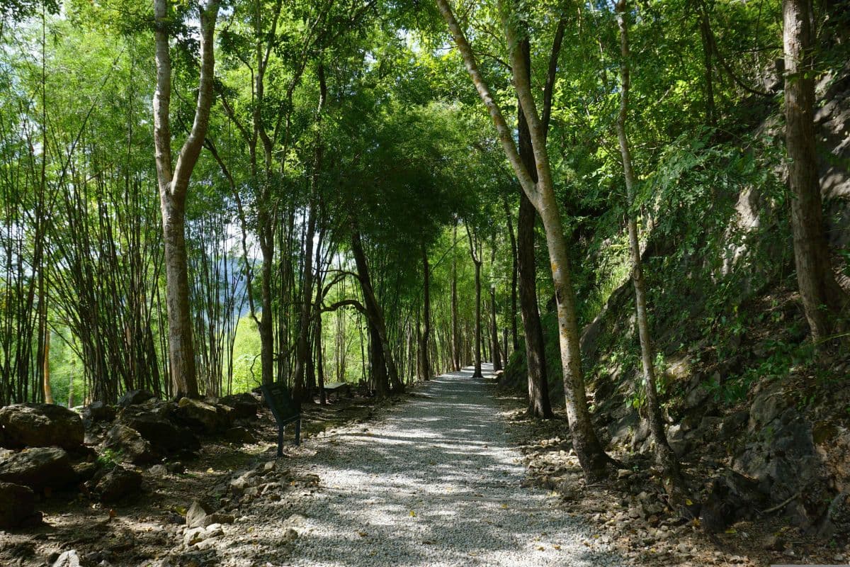 Kanchanaburi River Kwai and Hellfire Pass (included roundtrip transfer in city centre)