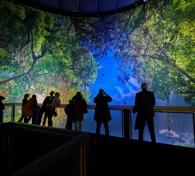 Dresden: 360° Panorama Amazonia 入場チケット