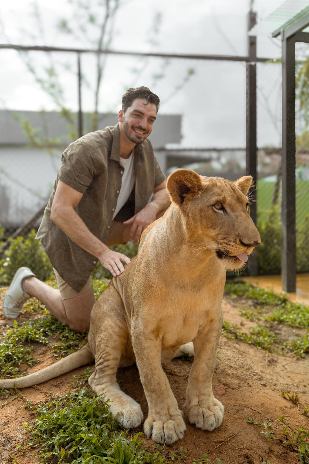 Lion Land Phuket