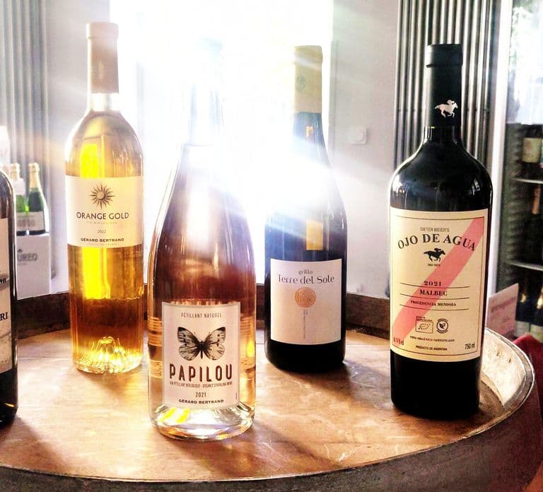 Berlín: Sesión de cata de vinos con aperitivos maridados