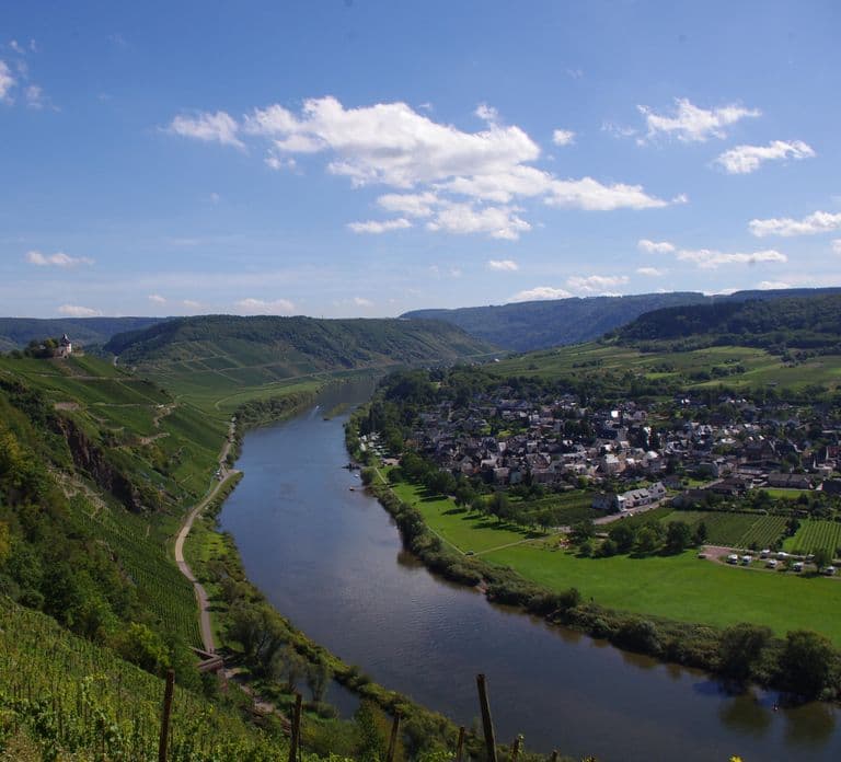 Bernkastel: Boat and covered wagon ride from/to Bernkastel-Kues