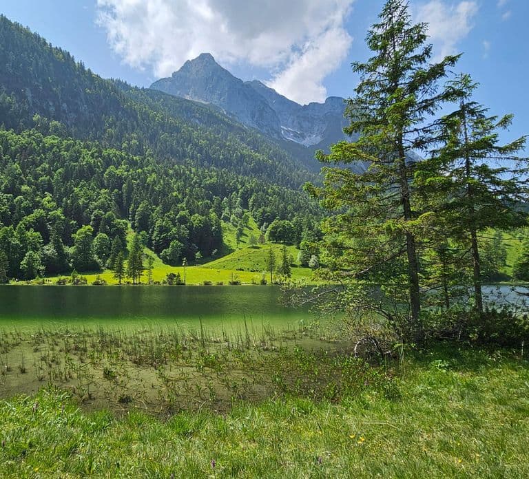 Wycieczka na rowerach elektrycznych: Garmisch, Oberammergau i okolice