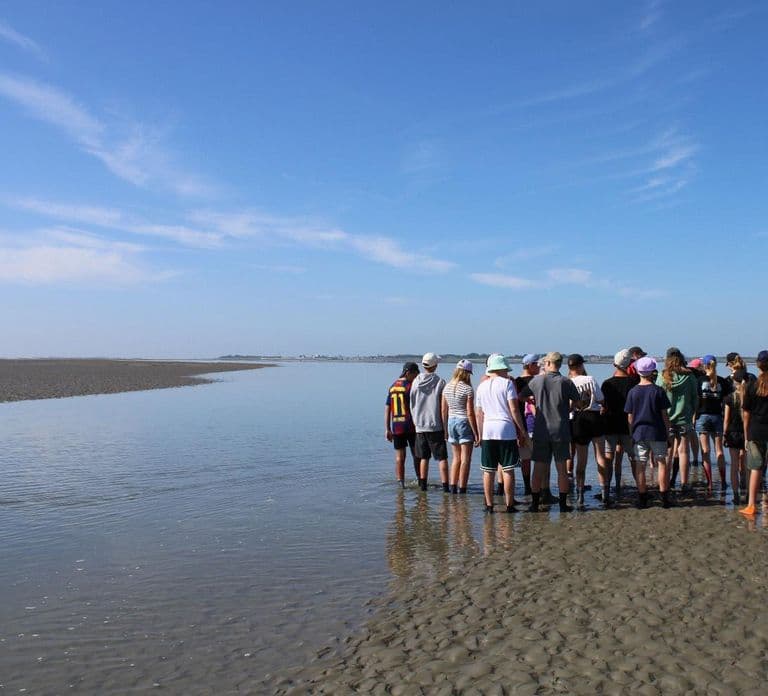 Butjadingen: Caminata guiada por las marismas en el Patrimonio de la Humanidad