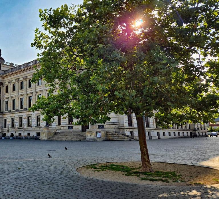 City tour Braunschweig: diverse and full of surprises.