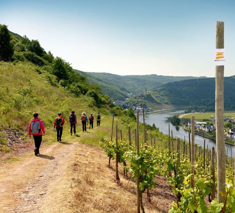 Cochem Wine Adventure Hike