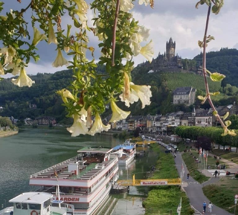 Cochem: Panorama Rundfahrt 1 Stunde