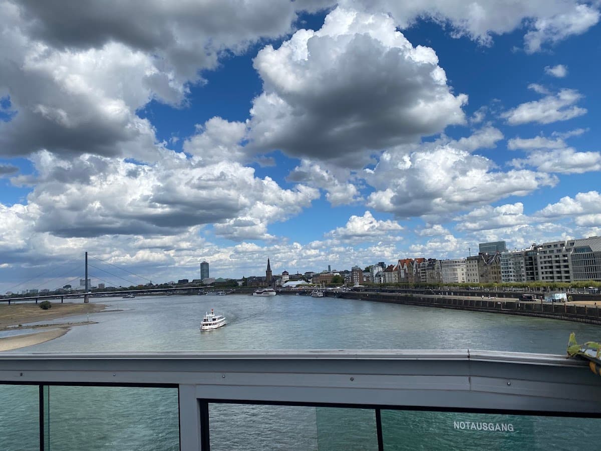 Cologne: 24h Hop-On Hop-Off Sightseeing Bus Ticket