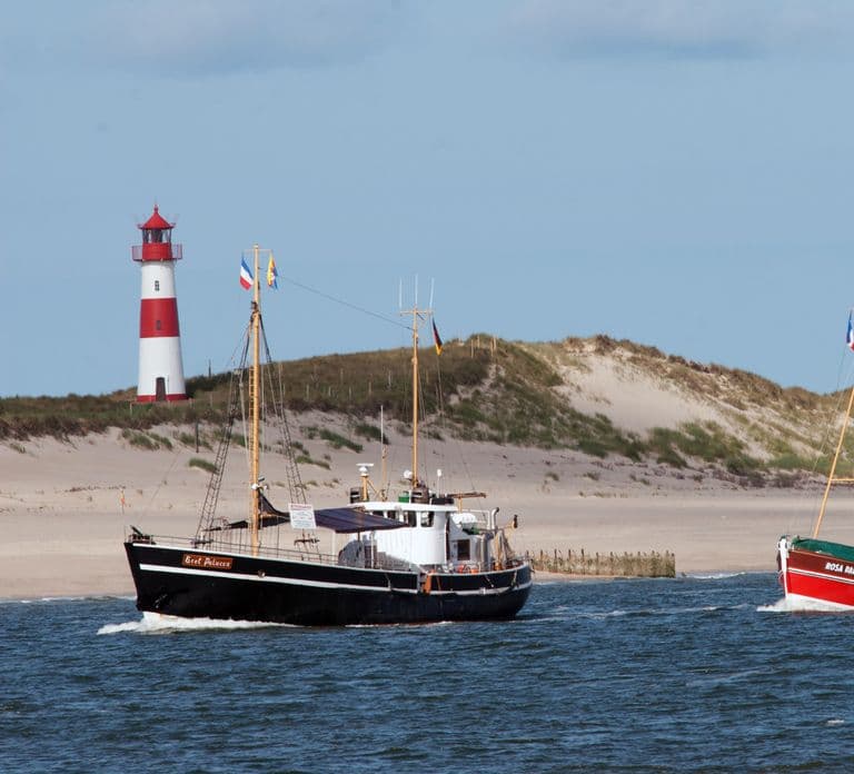 List/Sylt: Guided Seal-Watching Cruise on a Rustic Boat