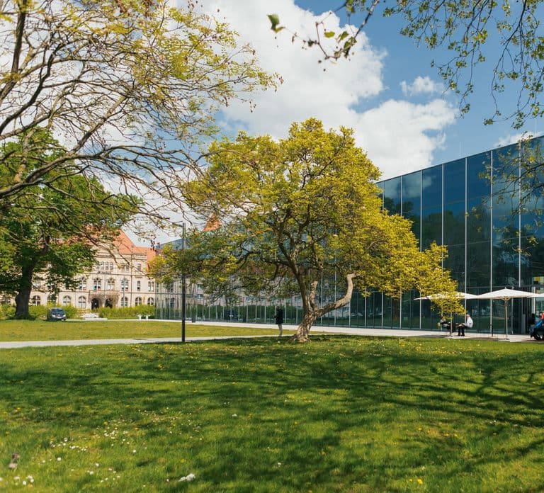 Dessau: Guided Walking Tour through History