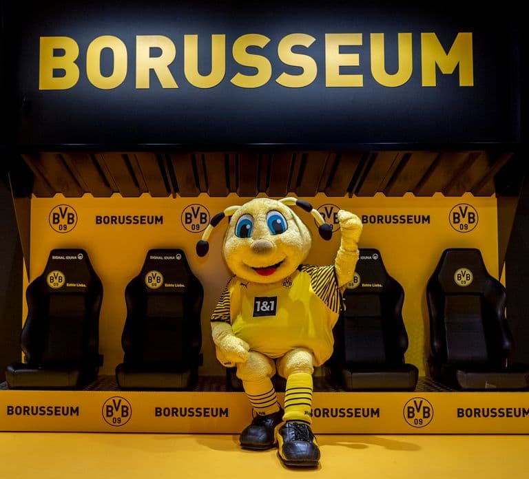 Dortmund: Biglietto d'ingresso al museo Borusseum del Borussia Dortmund