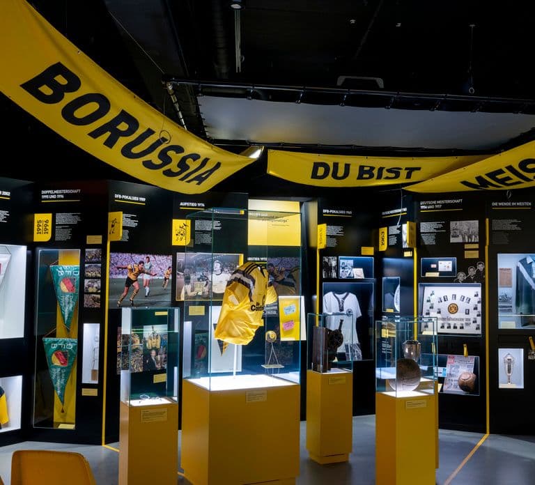 Dortmund: Biglietto d'ingresso al museo Borusseum del Borussia Dortmund