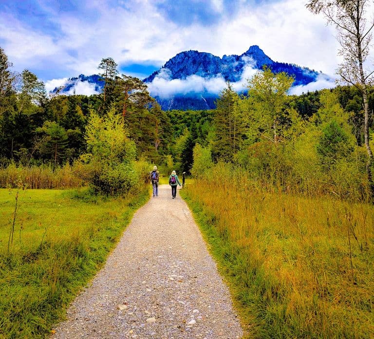 Füssen to Neuschwanstein Castle - Guided Scenic Tour