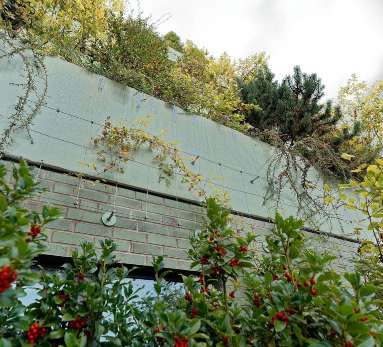 Green Bunker Tour auf St. Pauli – das Original