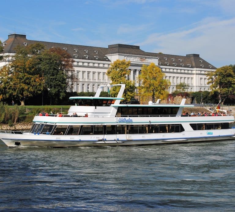 Koblenz: Rhine Valley Castle Sightseeing Cruise