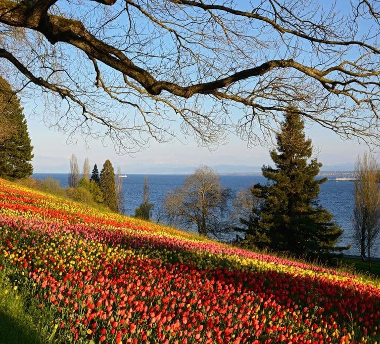 Konstanz: Mainau Island Entry Ticket