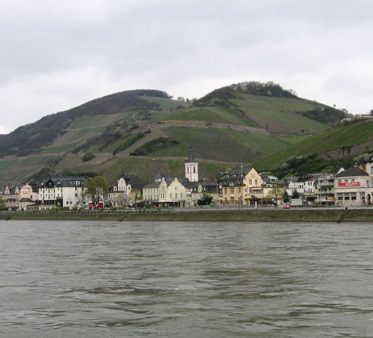 Rüdesheim am Rhein: Christmas Boat Cruise on the Rhine
