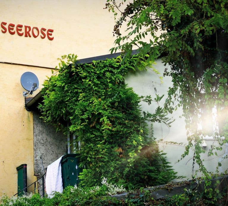 Schwabing: Tour de Insider! Bairro, Revolta e Segredos no Distrito Icônico de Munique