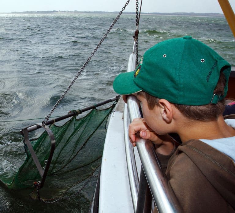 Sylt: Excursión en barco para ver focas desde Hörnum