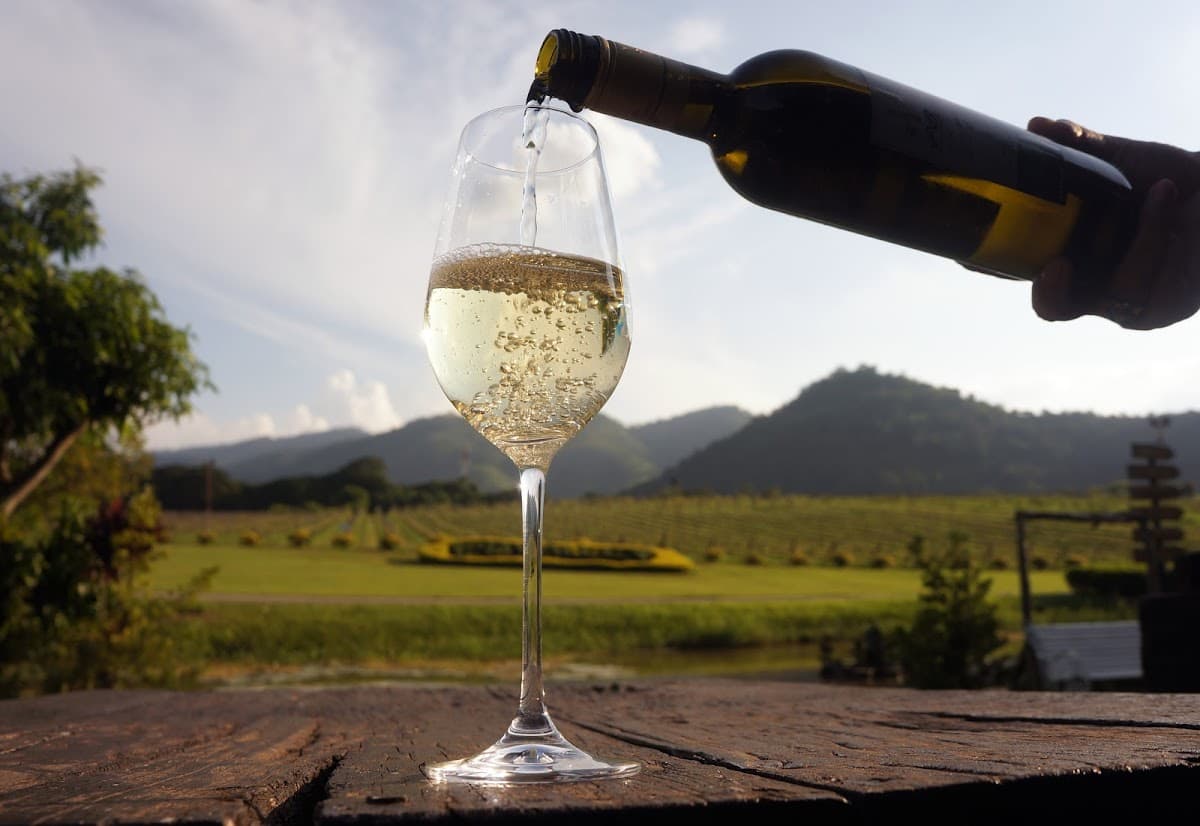 PB Valley Khao Yai Winery