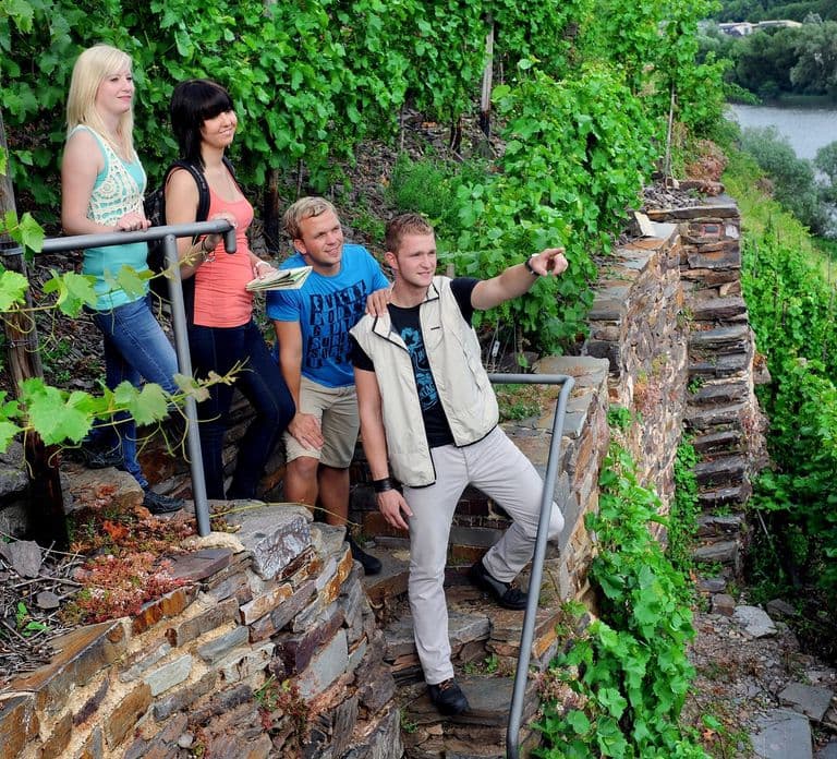 Traben-Trarbach / Bernkastel-Kues, Moselle: Wine experience hike